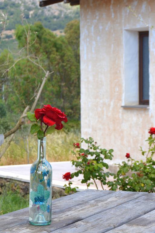 Agriturismo Rubinu Galtellì Kamer foto
